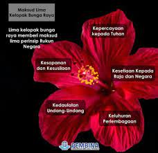Kemudian, setahun kemudin, pada akhir pada tahun 1958, kementerian pertanian telah mencadangkan tujuh jenis bunga untuk dipilih sebagai bunga kebangsaan persekutuan tanah melayu, iaitu bunga kenanga, bunga raya, bunga melur, bunga teratai, bunga mawar, bunga cempaka dan bunga tanjung. Sejarah Bunga Raya Dipilih Sebagai Friends Of Impak Facebook
