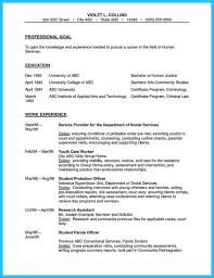 Experienced Correctional Officer Resume Police Officer Resume Resume Cover Letter Examples Job Resume Examples