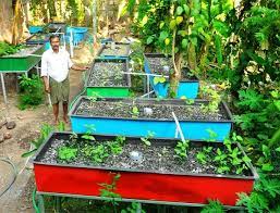 Sustainable Eco Farms His Call Christian Mission