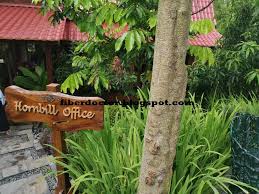 Di kawasan rumah hutan mempunyai restoran, penginapan, spa dan pakej urut. Nur Ida Urutan Di Rumah Hutan Terapi Alam Bonda Rozita Ibrahim Di Batang Kali