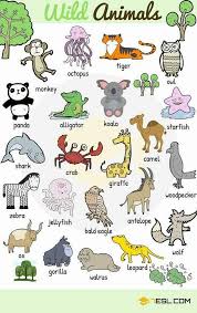 Pin By Zeliha Bespinar On Vocabulary Learning English Vocabulary Animals Name In English Learn English