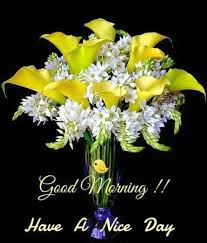 Good Morning Greetings Good Morning Flowers Beautiful Flowers Beautiful Flower Arrangements
