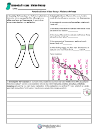 Play this game to review science. Alleles And Genes Handout Allele Phenotypic Trait