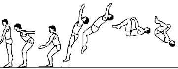 » est mise à jour. Https Ent2d Ac Bordeaux Fr Disciplines Eps Wp Content Uploads Sites 33 2017 11 Les Parades Au Sol Pl2012 Pdf