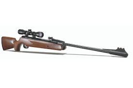 Why is an air rifle better for pest control than an air pistol? Air Rifles Under 500 Six Of The The Best Chosen By Shooting Times
