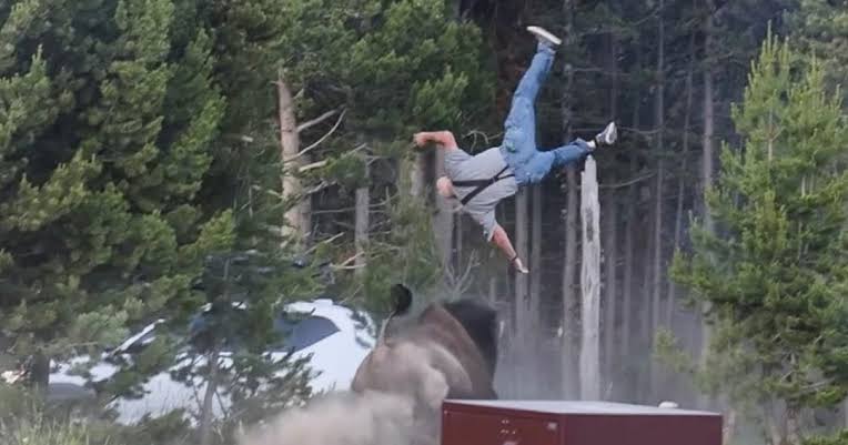 Grandfather hospitalized after bison charge sends him flying 8 feet at Yellowstone : r/offbeat