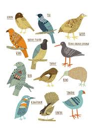 Pin By Sean Gilles On Birds Of A Feather Bird Drawings Bird Illustration New Zealand Art
