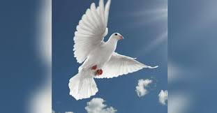 Louis irizarry manager at ifg pittsburgh. Louis Irizarry Obituary Visitation Funeral Information