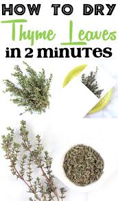 How To Dry Thyme Plant Leaves Fast In Microwave Perfect For Recipes This Is Such An Easy Way To Use Up Y Drying Fresh Herbs Freezing Fresh Herbs Drying Herbs