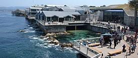 1,893 likes · 13 talking about this. Monterey California Wikipedia