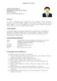 Safety Officer Resume Templates Sample Lebenslauf Vorlage For Freshers Computer Software Safety Officer Resume Sample For Freshers Resume Caterpillar Mechanic Resume Computer Programs For Resume Core Functional Format Resume Vampire Diaries Resume