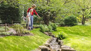 Immergrüne pflanzen nehmen einen würdigen platz im konzept des japanischen gartens ein. Der Japanische Garten In Den Garten Der Welt