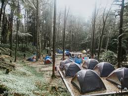 Cameron highland night market and kea farm are worth checking out if shopping is on the agenda, while those wishing to experience the area's natural beauty can explore boh tea plantation. Camping Sites In Cameron Highlands Comprehensive Guide To Cameron Highlands