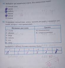 елена звездная хелл замужем не просто читать онлайн бесплатно Biologiya 6 Klass Rabochaya Tetrad Preobrazhenskaya Gdz Prakard