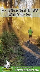 Seattle & portland road trip. Hiking Near Seattle With Your Dog 5 Great Pet Friendly Hikes