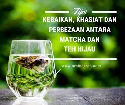 Dikemas dengan botol pet yang ergonomis praktis diminum kapan dan dimana saja. Kebaikan Khasiat Dan Perbezaan Antara Matcha Dan Teh Hijau Umi Nazrah