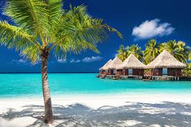 Trip Concierge™ - How To Research Packaged Vacations