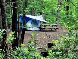 A number of sites are designated for tent camping. Camping Local In Style Right Size Life
