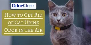 how to get rid of cat urine odor in the air