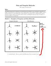 A lot of students i there are 3 types of solvents commonly encountered: Kami Export Ashlyn Miller 8 Polar And Nonpolar Molecules S Pdf Polar And Nonpolar Molecules What Makes A Molecule Polar Why The Physical Course Hero