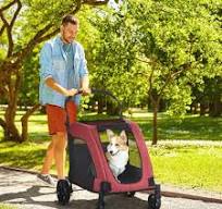 DUOSONG Pawhut Pet Stroller Universal Wheel With Storage Basket Ventilated  Foldable Oxford Fabric For Medium Size Dogs, Red Red Iron Pet Supplies Pet  ...