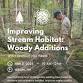Improving Stream Habitat: Understanding Woody event image