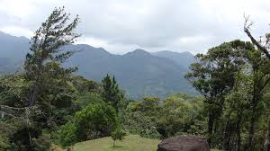 La mejor manera de ir desde santiago de veraguas a parque nacional coiba sin un coche es en autobús y viajar que dura 3h 17m y cuesta. Alto De Piedra Santa Fe Veraguas Mapio Net
