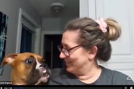 My girl had an allergic reaction today resulting in a very fat tongue 😢 we  think she may have eaten a wasp.. luckily I noticed and checked in her  mouth. A rush