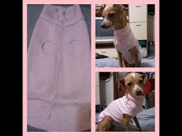 Di cani (e gatti) e di accessori per loro ne parlo spesso. Come Realizzare Un Cappottino Per Cani Da Un Vecchio Maglione Fai Da Te Mania