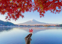 Quran with english translation, and beautiful recitations. Understanding Japan S Go To Travel Campaign In English How To Save Up To 50 Off Live Japan Jepun Travel Dan Pelancongan Dan Panduan Pengalaman
