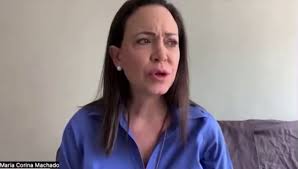 mirta leon (@T0P0CH0)