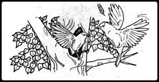 Tidak kiralah sama ada cerita2 seram, paranormal. Nurul Ashikin Interaksi Antara Haiwan Sains Tahun 6 Upsr