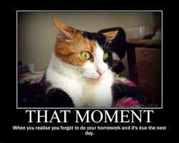 Motivational Cat Meme 35 Images Wp Images Kitten Post 7 20 Humor Memes Cat Cat Memes Motivational Quotes For Account Closed Animals Animals Pets
