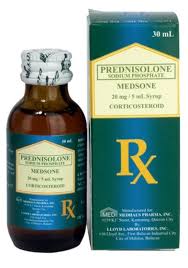Image result for Prednisolone