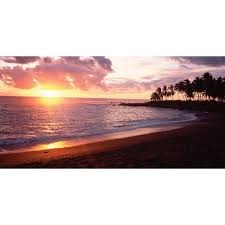 Biggies 54 In X 27 In Sunset Wall Mural Wall Murals Large Wall Murals Panoramic Photography