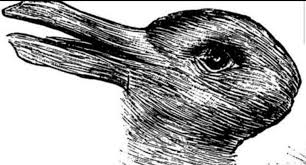 Kumpulan gambar kartun bebek hitam duinia kartun download gambar gratis tentang bebek burung hewan hitam putih dari pustaka pixabay lebih dari 1 300 000 gambar domain publik berupa foto ilustrasi dan vektor 316896 dunia sekolah gambar hitam. Ini Gambar Itik Ke Arnab Jawapan Anda Bakal Dedahkan Rahsia Diri Anda Minda Rakyat