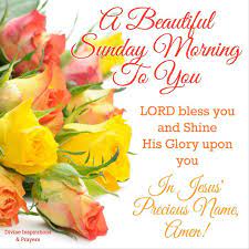 The blessings of sunday morning blooms the vibes of positivity, hope, and refreshment in our minds. 18 Sunday Ideas Sunday Morning Quotes Sunday Quotes Happy Sunday Quotes