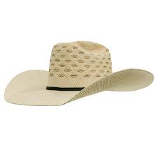 Find the top 100 most popular items in amazon best sellers. Natural And Wheat Open Crown Straw Cowboy Hat