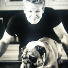 Gordon And His Fur Baby Chef Gordon Ramsay Gordon Ramsey Gordon Ramsay