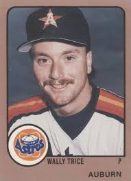 1988 ProCards Minor League