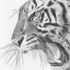 Next draw out the almond shaped eyes with the pupil in the middle. 1