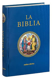 We envision liceo del verbo divino to be the leading catholic educational institution in eastern visayas providing quality education and excellence grounded on gospel values. La Biblia 15 X 10 Biblias Verbo Divino Aa Vv Amazon De Bucher