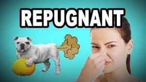 If you know how to pronounce repugnant, just click the button to record. Learn English Words Repugnant Meaning Vocabulary With Pictures And Examples Youtube