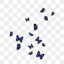 Linda Borboleta Azul Brilhante Borboleta Borboleta Azul Brilhante Um Grupo De Borboletas Imagem Png E Psd Para Download Gratuito In 2021 Blue Butterfly Blue Butterfly Png Glowing Blue