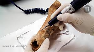 The determination of age or date of organic matter from the relative proportion of the carbon isotopes carbon 12 and carbon 14 that it contain. Radiocarbon Revolution The Story Of An Isotope