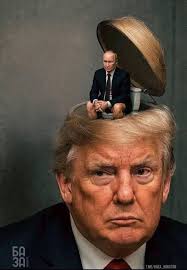 Make your toilet clean again! 😆 https://nativespride.shop/donald-toilet