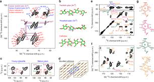 Maybe you would like to learn more about one of these? Lignin Polysaccharide Interactions In Plant Secondary Cell Walls Revealed By Solid State Nmr Nature Communications X Mol