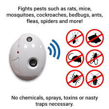 Where to buy level 4 pest spell? Pin On Projects To Try