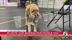 From pupcakes to pretzels, they're all tasty (and healthy) enough to earn a tail wag. Exercise Your Dog S Brain With These 4 Diy Enrichment Activities