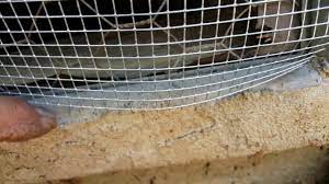 I have seen hundreds of houses that have wildlife in the crawlspace. Repairing Foundation House Vents Youtube